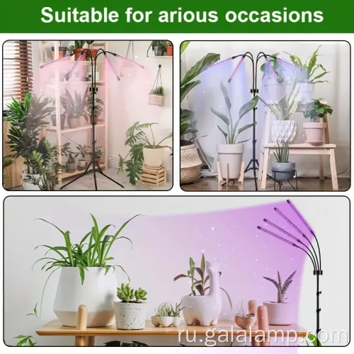 Светодиодная лампа для роста растений полное время спектра